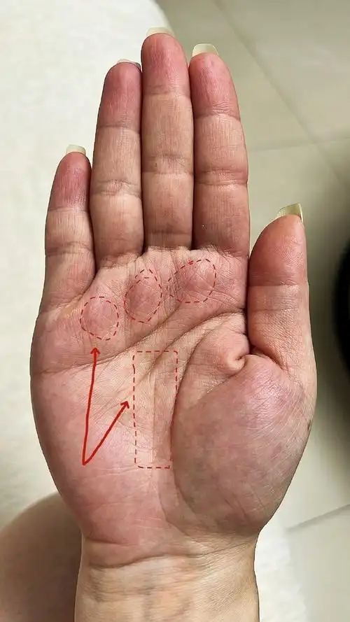 事业线 三丘饱满 金星丘饱满,热情大方,积极正能量,也是事业上前程不