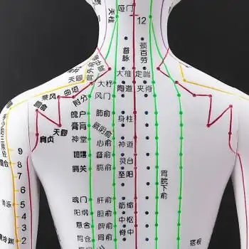 n中医针灸人体穴位模型人体经络穴位图十二可扎针练习教学小铜人 彩色