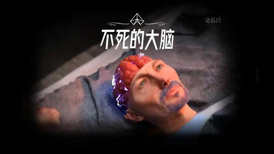 人死亡后大脑也会跟着死去吗?