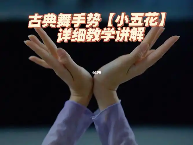 古典舞中小五花详细动作讲解