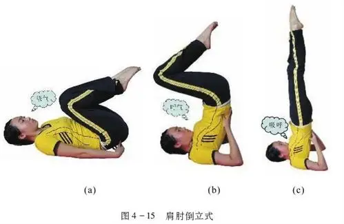 吴四小体育教学水平三(五,六年级)——第三课:技巧:肩肘倒立(4-2)