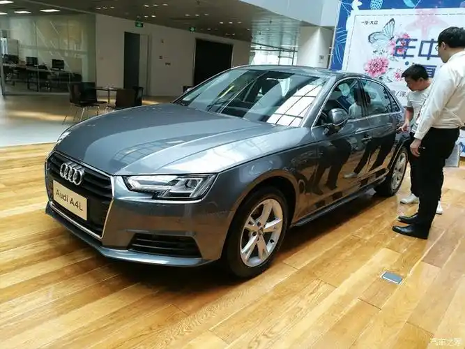 奥迪a4少见的两个颜色