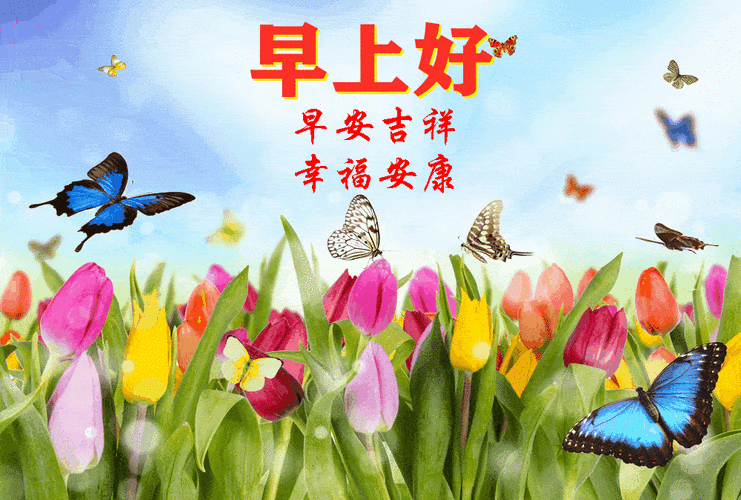 星期四最新早安问候语动态图片表情_人生