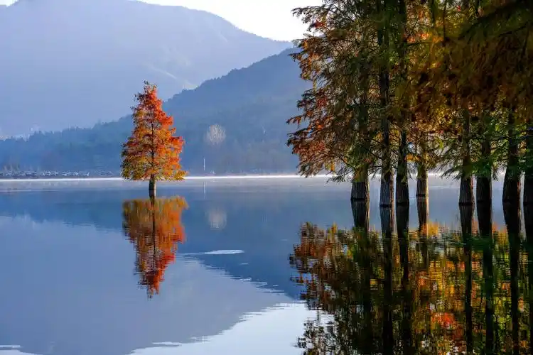 安徽黄山奇墅湖晨景似仙境
