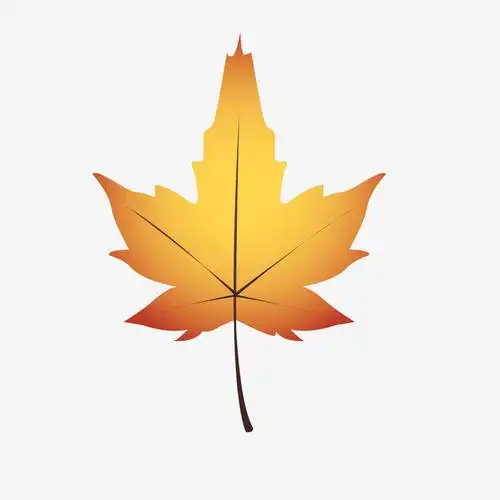 卡通枫叶设计图