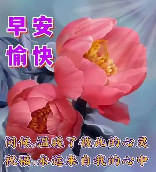 11月14日最新创意好看的早上好祝福图片带字温馨 2023唯美早安问候