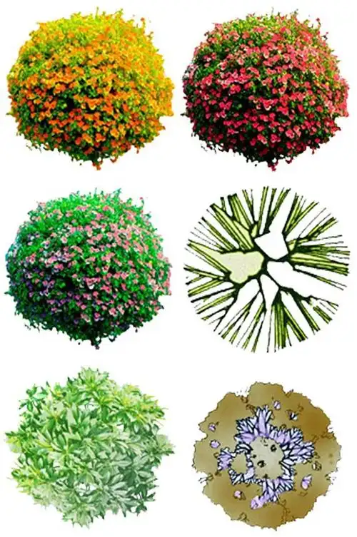 平面树图片-平面树素材下载-众图网