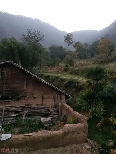 为什么城市的温差与农村的山上的温差有点大.请高人指