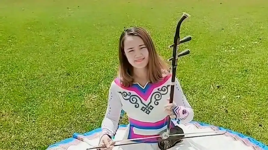 你听过《送亲歌》吗,推荐这首二胡版的,画面唯美琴声悠扬太美了-音乐