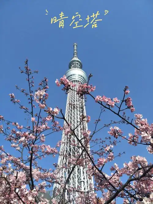 东京晴空塔