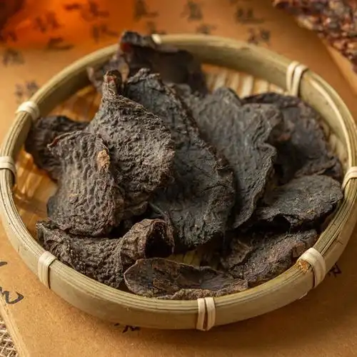 如何鉴别肉苁蓉与肉苁蓉中药饮片