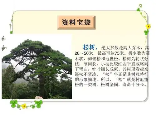 三年级下册语文课件-短文两篇松树-湘教版ppt