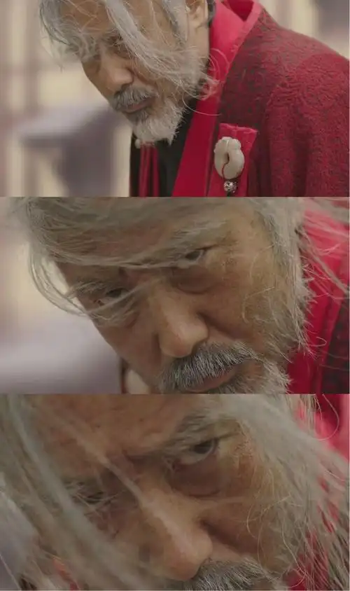 虎啸龙吟司马懿终于黑化一辈子给人当刀这一次我是执刀人