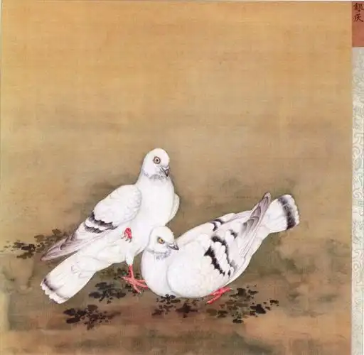 清 蒋廷锡 鹁鸽谱