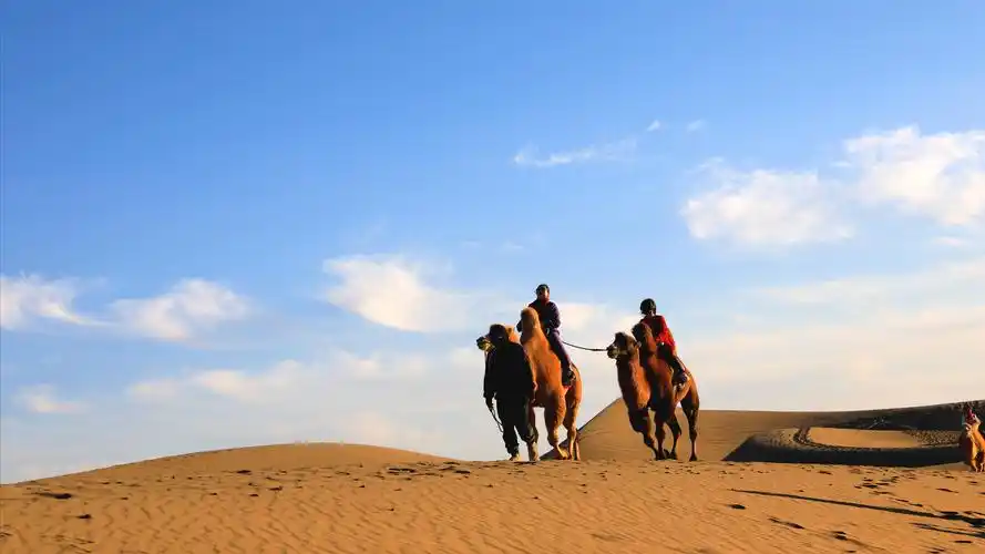 额济纳大漠胡杨林,七道桥和八道桥风景,沙漠,胡杨,骆驼和落日余晖.