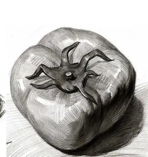 立体感非常强的水果蔬菜素描静物图片