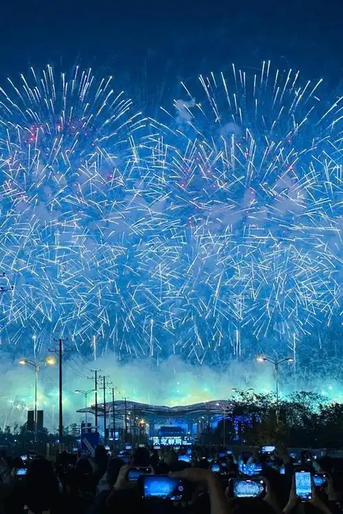 花炮|加特林|浏阳市|武汉市|烟花爆竹_网易订阅