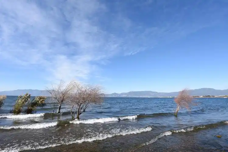 昆明出发,澄江抚仙湖二日游:月亮湾,禄充,.