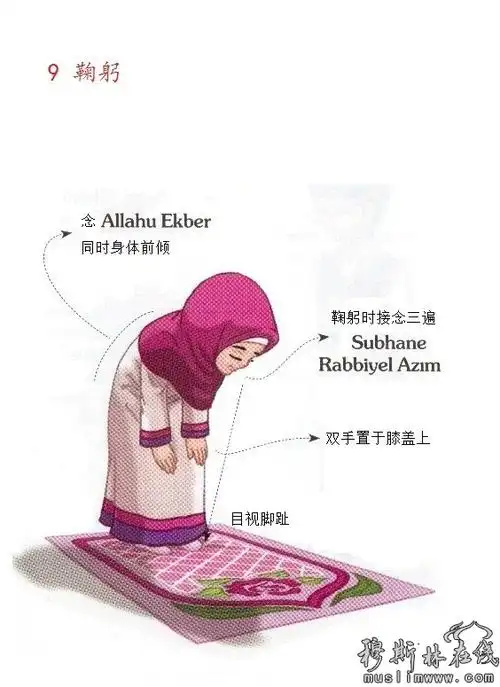 看图教你如何学习礼拜