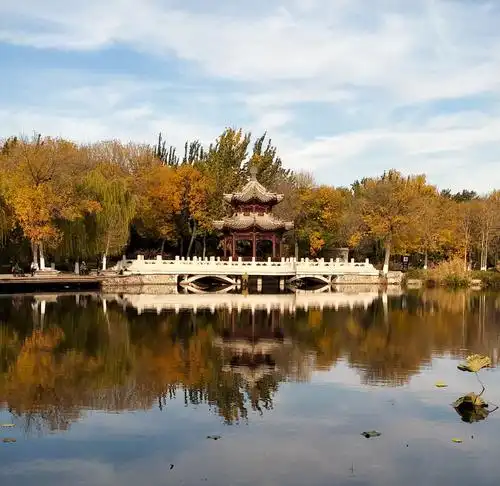 美丽的景色,摄于天津北宁公园