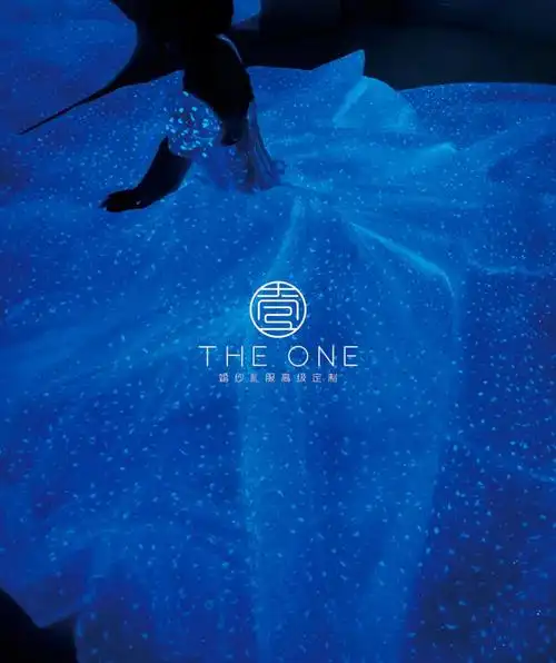 超梦幻夜光婚纱theone婚纱礼服