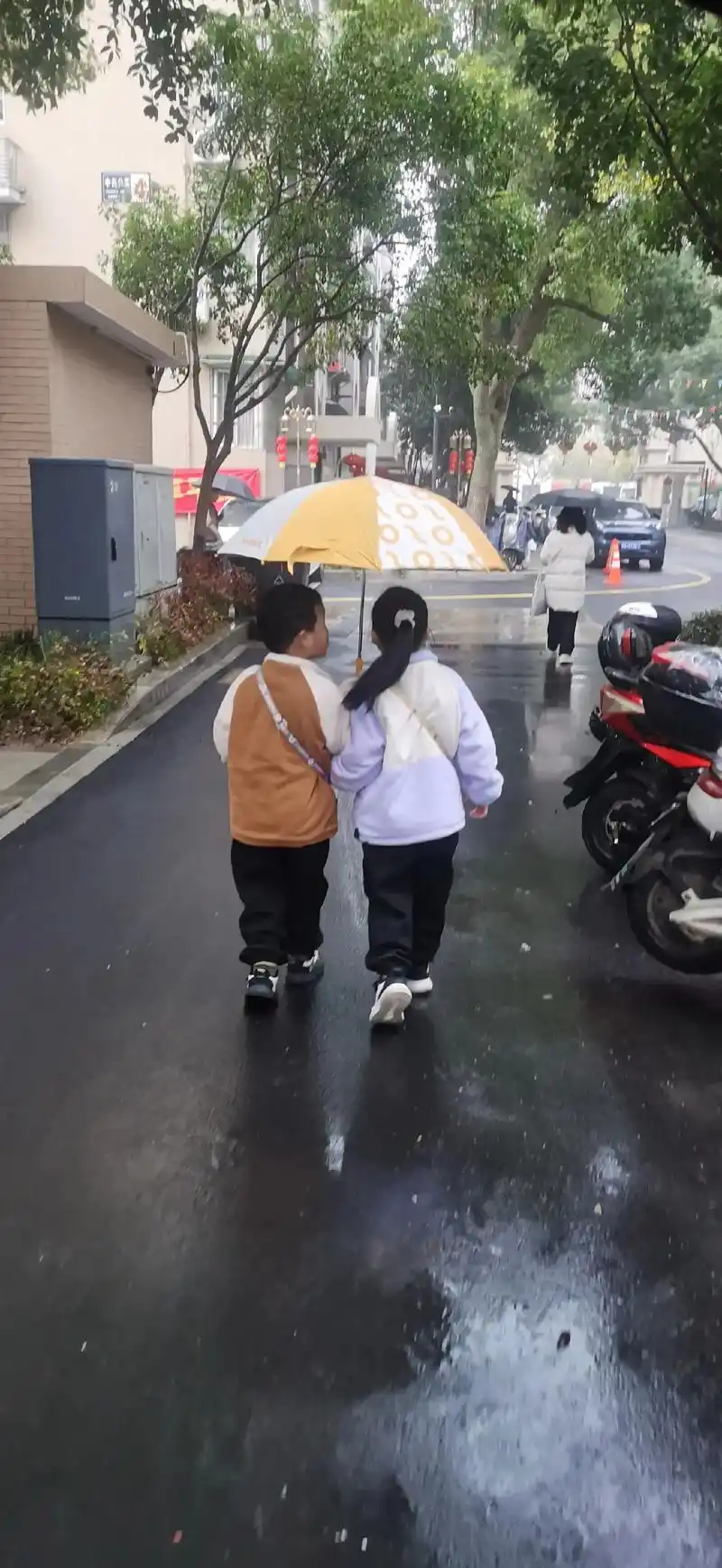 两小只 #雨中漫步也是一种享受 #风雨无阻 #手拉手一起走 - 抖音