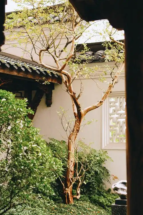 古风庭院屋顶花园