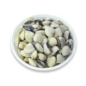 鲜活白贝约500g/袋 野生白蛤蜊海鲜白蚬子海贝活贝活体发已去泥沙