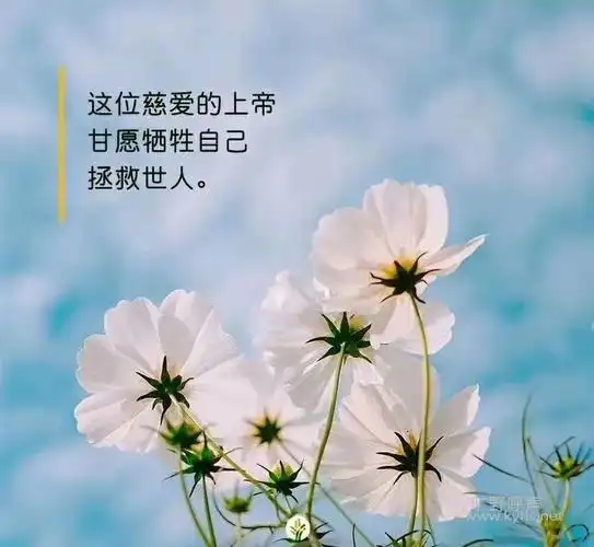 效法西面称颂主降生 - 祈祷基督网