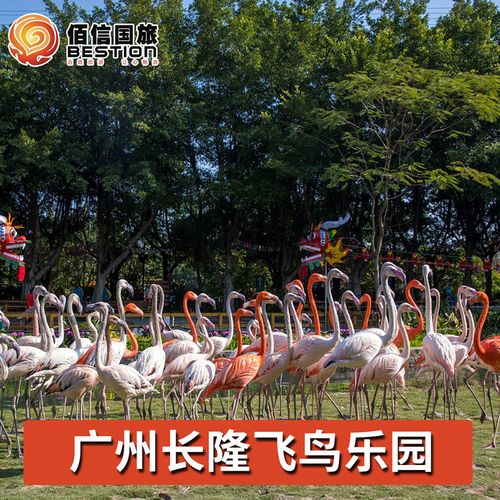 [广州长隆飞鸟乐园-1日门票]广州长隆飞鸟乐园原鳄鱼公园门票