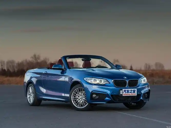 2015款 220i 敞篷轿跑车 m运动型