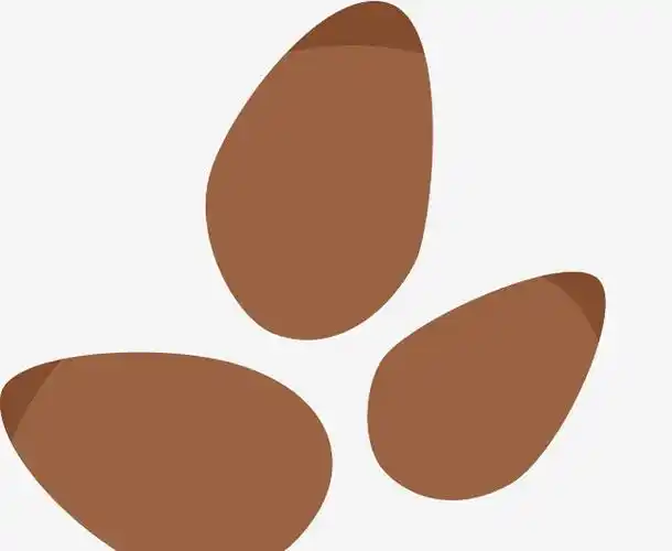 种子的简笔画 种子的简笔画图片大全