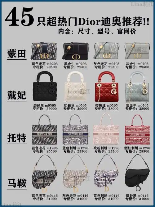 预算3w推荐迪奥dior超热门包包i附官网价