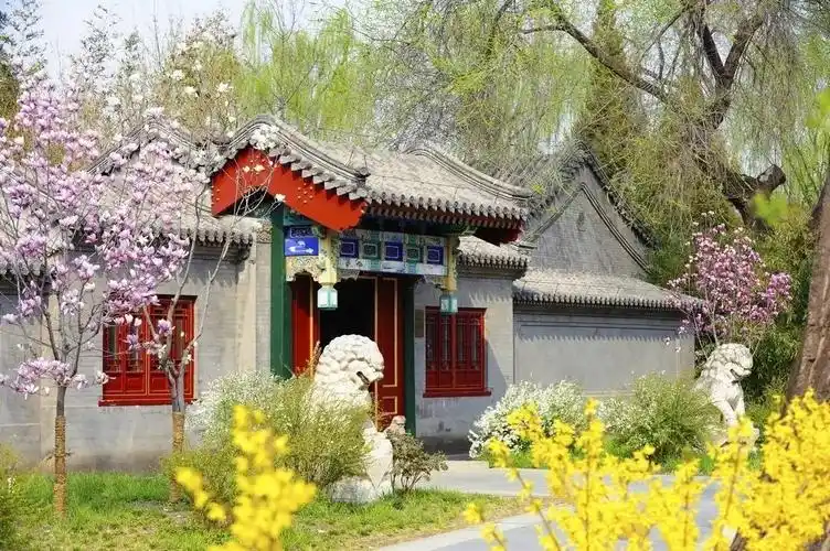 在朗润园的春天里,我从未忘记你