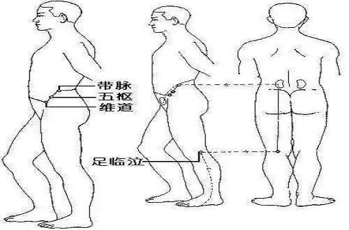 阴跷脉循行路线图片,阴跷脉的作用