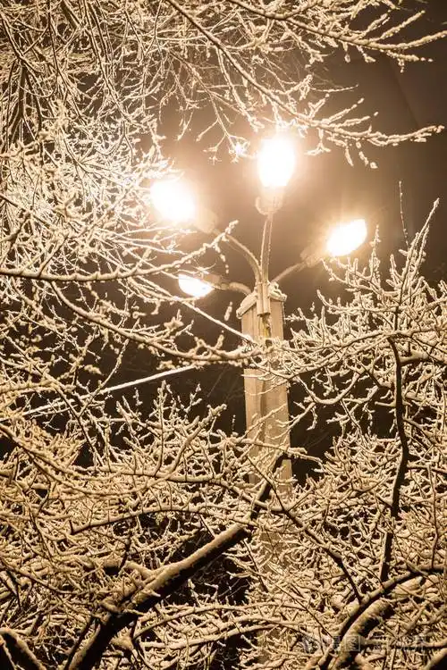 冬季公园的路灯