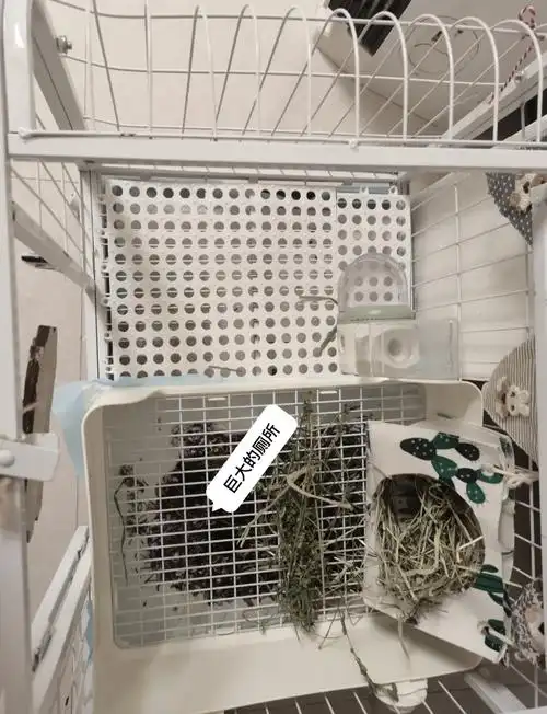 平价兔笼布置好物推荐,学生党必看!