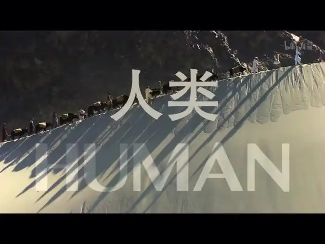 分享一部纪录片《human》纪录片以访谈的形式展开,请来自不同国家,不