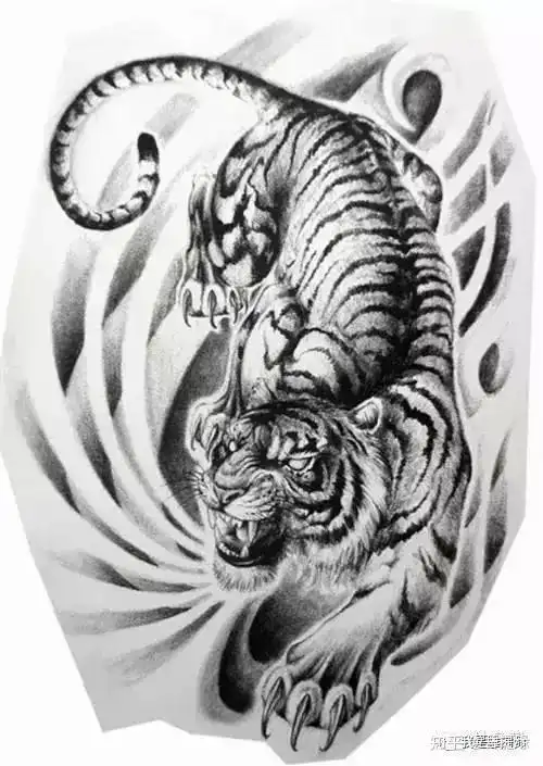 我是雕刻师素描手稿二十五期老虎纹身雕刻素材