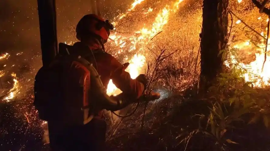 人报甘头条甘肃森林消防员重庆救火14天连续转战7个火场