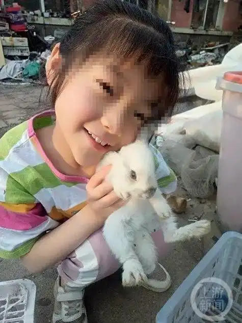 以案释法:又一13岁男孩冷静作案,杀害8岁女童,避开监控回家|萱萱|女儿