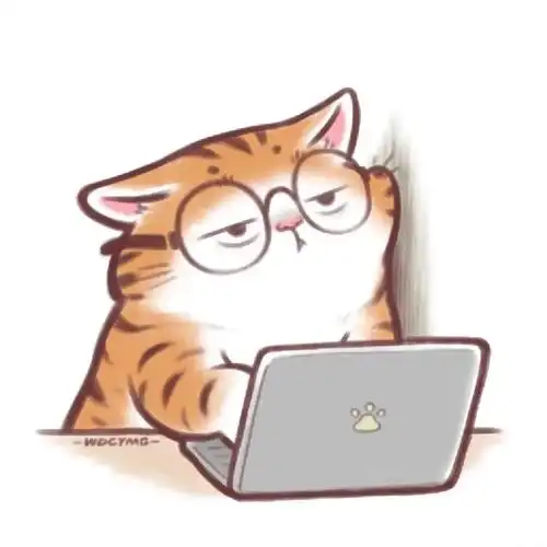 杭州萧山佛系蹲一只橘猫