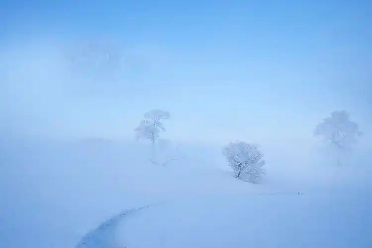 唯美雾凇风景图片唯美自然风景冰雪景色雾凇