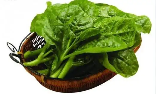 青菜有哪些:一般指绿色的大叶蔬菜