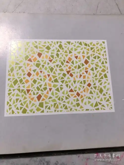 色盲检查图第五版精装