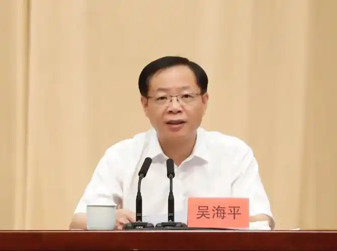 台州市领导戴国富,陈挺晨,林虹出席会议.