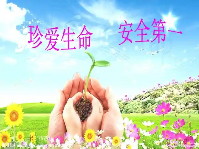 珍爱生命安全第一班会(ppt 70页)-金锄头文库