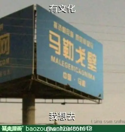 我想去马勒戈壁