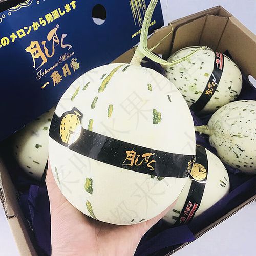 皓谦海南月露蜜瓜 冰淇淋甜瓜 奶香甜瓜 日本引进品种一藤蜜瓜 当季新