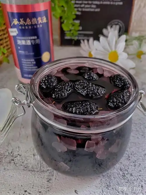 桑葚泡酒 - 知乎